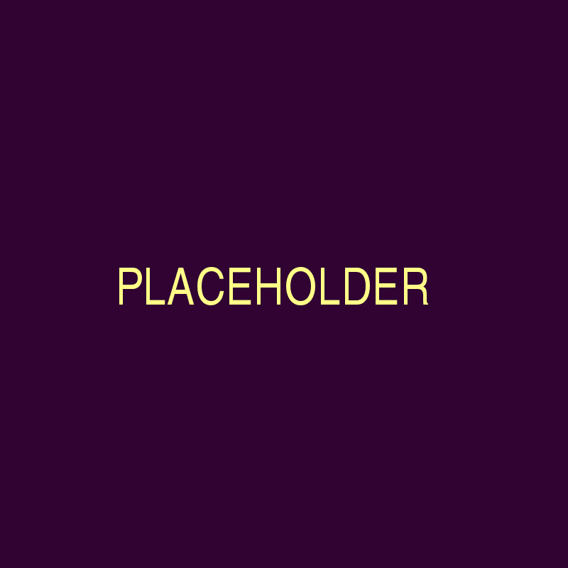 800x800 placeholder